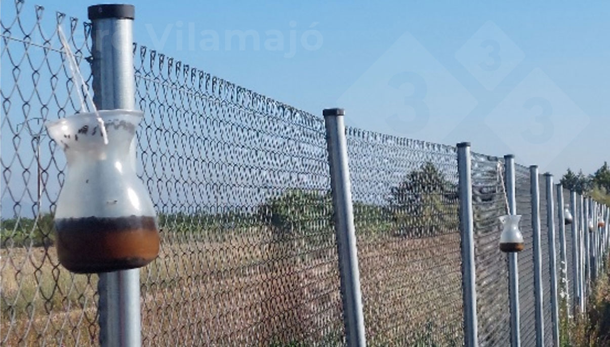 <p>Photo 2: Multi-catch traps for adult flies located on&nbsp;the perimeter fence.</p>
